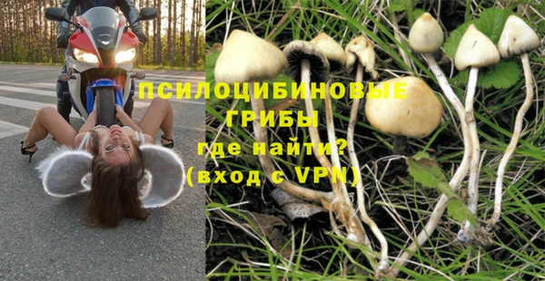 мдпв Вязьма
