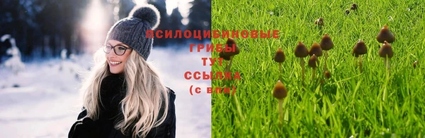 тгк Горнозаводск
