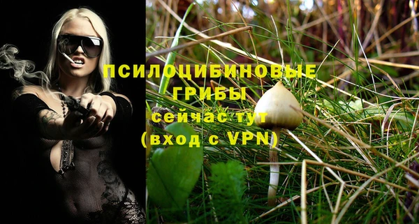 мдпв Вязьма